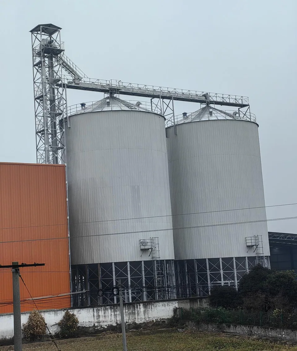 四川什邡农业合作社保温仓与仓顶通廊实景